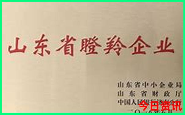 鬼谷子新澳门资料